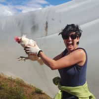 Shahnaz Radjy的照片