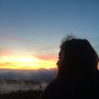 Raleigh LaCombe的照片