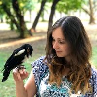 Renáta Szarvas's Photo