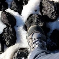 Ilaria Cicardello的照片