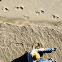 Fotos von Xiaobai Lu