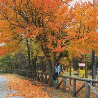 Fotos von Giovana Corcini