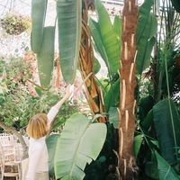 Aleks Szymczyk's Photo