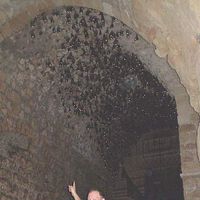 Avichai Lustig's Photo