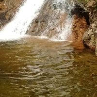 Photos de Miguel Piperno