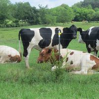 Fotos de Barbara Liaghati