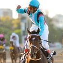 Horse Racing's picture