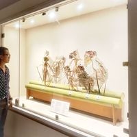 Edward  H. Jatmiko's Photo