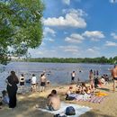 International picnic on the beach's picture