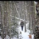 Area Visiting Food & Night Walk 's picture