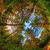 Peadar Farrell的照片