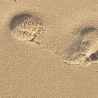 Mark's Around's Photo