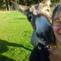 Dominique Berret的照片