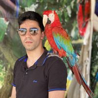 Ahmed Abdel Salam的照片