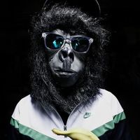 Kevin Schöninger的照片