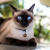 Lorenzo Garrone's Photo