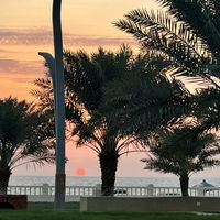 Fotos de Mohammad Alabba