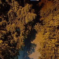 Goutam Sharma的照片