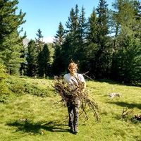 Alexander Damiani的照片