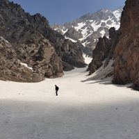 Doniyor Abdumutalibov的照片