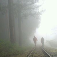 Hsiao-Ting Chen的照片