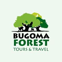 Bugoma Forest's Photo