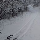 Cross-country ski near Tbilisi (Kiketi)的照片