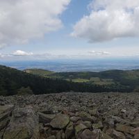 Anais Dolmazon's Photo