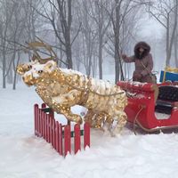 Maria Grazia Zanchetta的照片