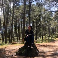 Gabi Rosiles的照片