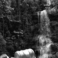 Julia Ferreira的照片