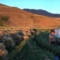 Fahimeh Badi的照片