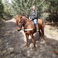 Virginie Vrmbt's Photo