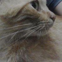 Lídia Áurea's Photo