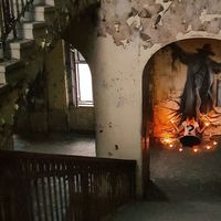 Peta Johannsen的照片