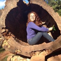 Fotos de Diane Baron