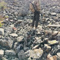 Steve Stvee的照片