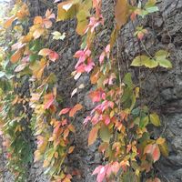 Fotos de Clotilde Mercier