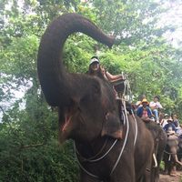 Haduki Kuroki的照片