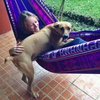 Yvette Ruyters的照片