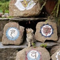 Fotos de Funocchi Sadhu