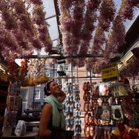 Francesca Papaioannou's Photo