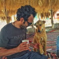 islam mohamed的照片