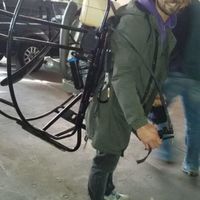 Oscar Von Nemby的照片