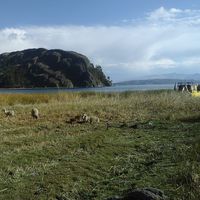 Nina Araya Saa's Photo