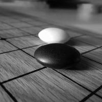 Fotos de Berkin Gürcan