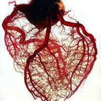 Guillermo Torino的照片