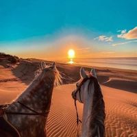 Hesham Almashaleh的照片