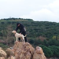 Fotos von Mahmoud Abdullah