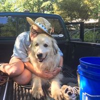 Juliana Groce的照片